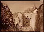 lithprint viradontoned